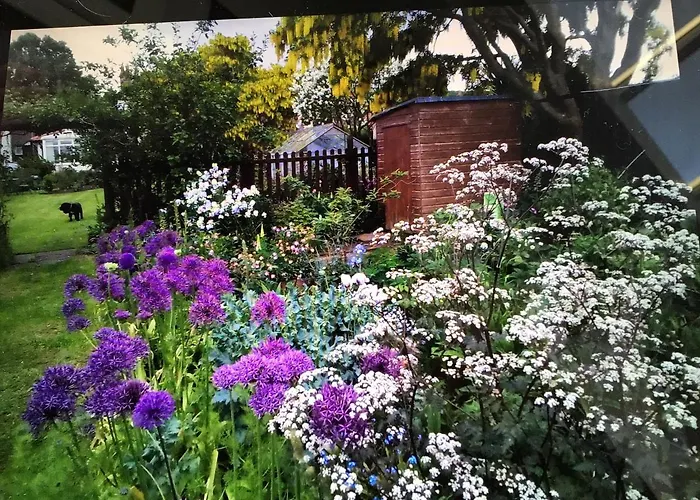 Icthus 3* Willerby (North Yorkshire)